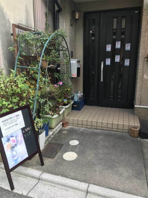 【真作】絵画　加藤芙紗　水彩8号　水仙　静けさ漂う花の一瞬　淡彩の美　W45 真作】絵画 加藤芙紗 水彩8号 水仙 静けさ漂う花の一瞬 淡彩の