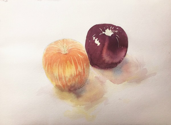 上手い絵 を描こうとしないこと リンゴ描画過程 水彩的生活kurokawaの透明水彩画