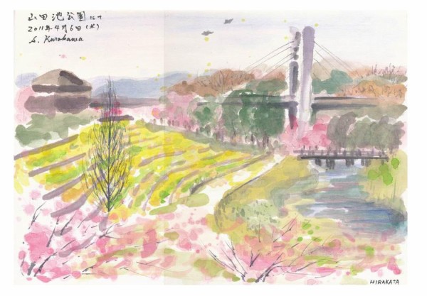 画仙紙顔彩スケッチで 桜 を描きました 老人ホームの花見 水彩スケッチクラブ研究会にて 水彩的生活kurokawaの透明水彩画