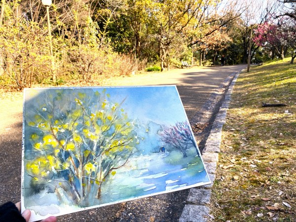 昨年描いた「蝋梅」のある構図に またまた挑戦🎨 : 水彩的生活