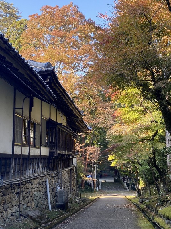 10月29日🍂紅葉を描く実演講座無事終了致しました♪ : 水彩