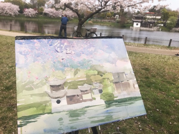 透明水彩画原画桜と山吹の散歩道 Outdoor sketching] Draw in 30 minutes! Transparent