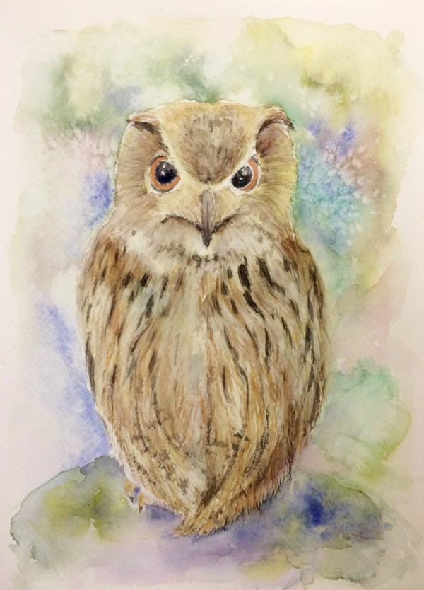 高級感 バックを塩の技法で描いたOYMさん透明水彩画「フクロウ」…が 絵画
