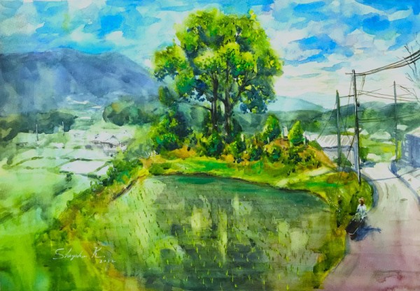 成安造形大学公開講座に参加「仰木の棚田」ワンデースケッチ🎨 : 水彩