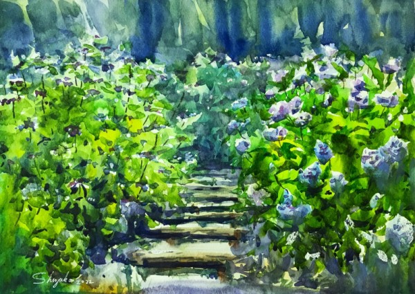 ６月１６日鶴見緑地「花の谷」の紫陽花スケッチ : 水彩的生活KUROKAWA 