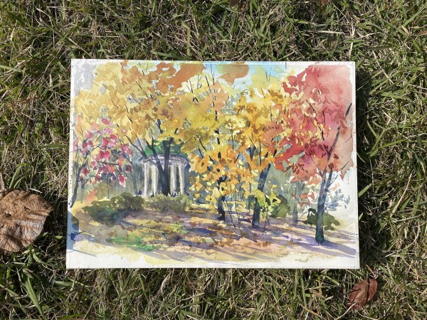 やっとこさ～紅葉本番！！🍂鶴見緑地公園でイギリス庭園の見える
