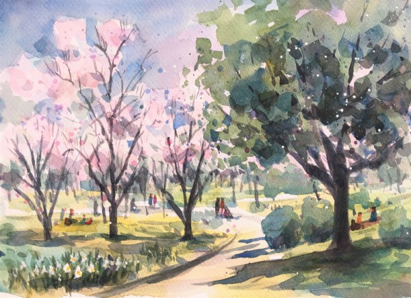 くろかわ透明水彩画教室(3.18ｽｹｯﾁ会)スモモの花の咲く丘で🌸 : 水彩的