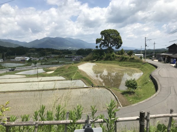 成安造形大学公開講座に参加「仰木の棚田」ワンデースケッチ🎨 : 水彩
