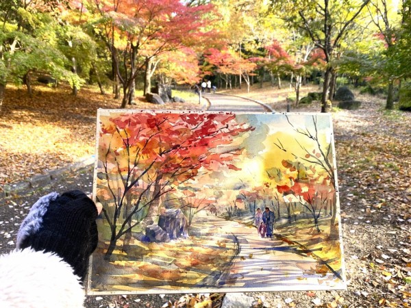 11月29日山田池公園（枚方市）の”もみじ谷🍂”でスケッチ☆彡