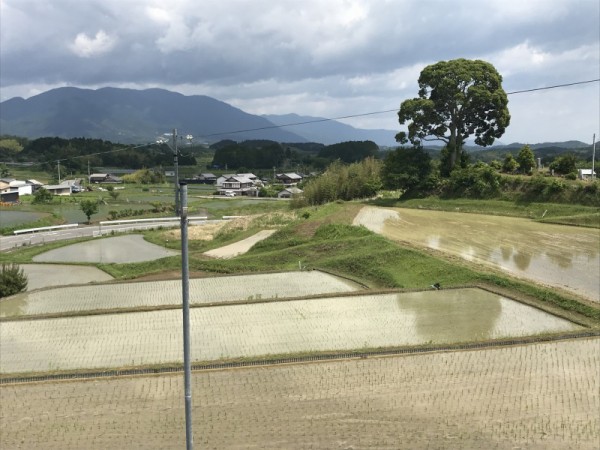 成安造形大学公開講座に参加「仰木の棚田」ワンデースケッチ🎨 : 水彩