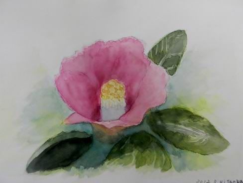 サザンカの歌って・・・『さざんかの宿』だったのだろうか？透明水彩画