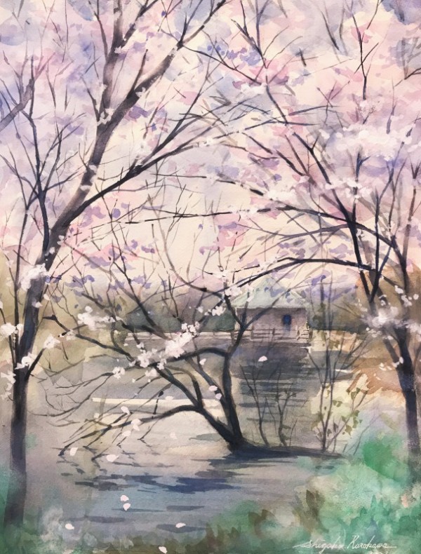 透明水彩画「山田池の春🌸」～自然に配置する難しさはスパコン並みに頭