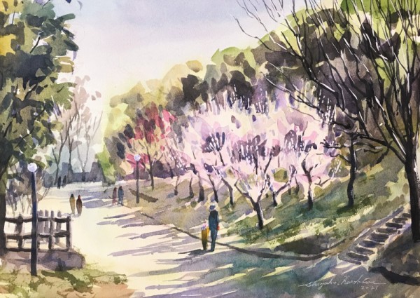 透明水彩スケッチ「豊後梅の咲く散歩道」～イキナリ春真っ盛り 