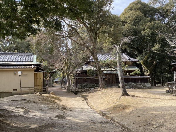油絵二月堂裏参道の春 二月堂裏参道 - 奈良大和路水彩スケッチ散策