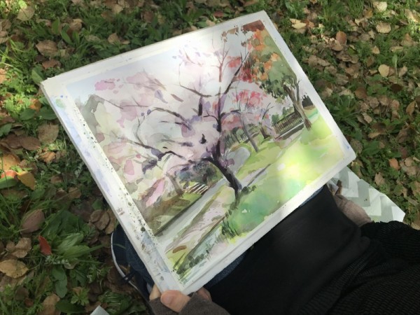 透明水彩スケッチ「春の想い出」鶴見緑地の穴場🌸桜🌸スポットに