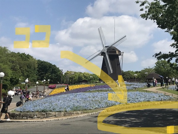 鶴見緑地公園 7/26「夏の丘＃1」🌻風車のパース 羽根に四苦八苦