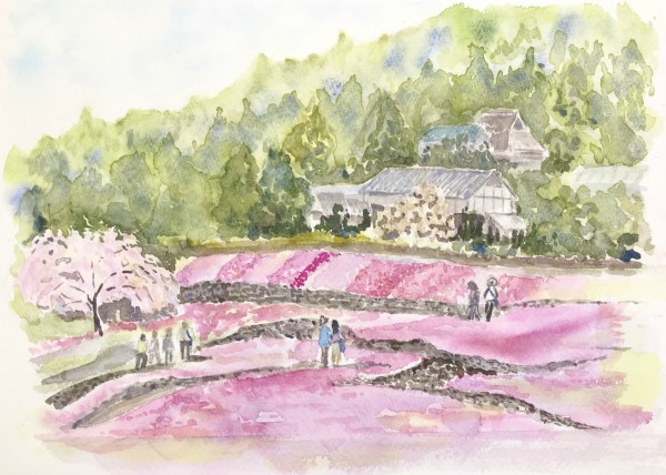 Hさんお花畑の透明水彩画＆明るさを描くには周囲の暗さに頼る