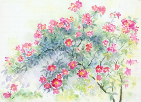 水彩画(風景)№167 水彩画(風景)№167 グラフィック社