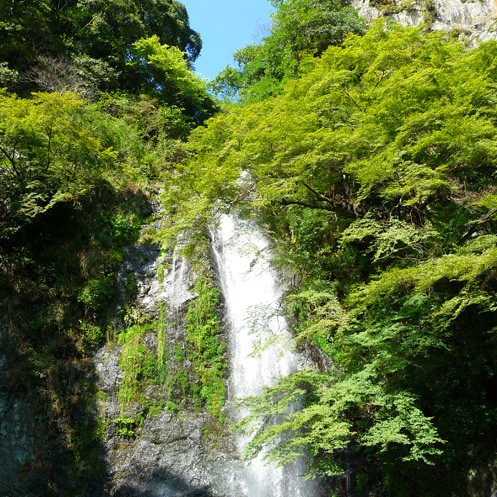 箕面の滝 Fragranza フラグランツァ 梅原酒店 おうちでごはん 10 4 あしたも飲むねん 大阪
