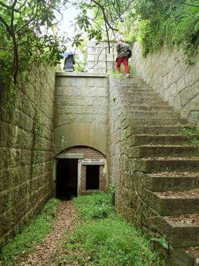 前編 猫旅in小島 愛媛県今治市沖 カフヱー花園