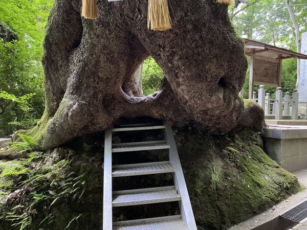 茂原市日帰りの旅 笠森寺 笠森観音 は絶景でした ロップイヤー日記 千葉グルメ編