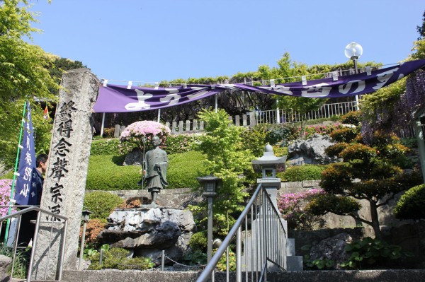 吉祥寺の藤まつり ロップイヤー日記 千葉グルメ編