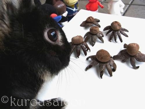 2020年は胞子画（キノコを画材にして描く絵）がカラーに進化しました