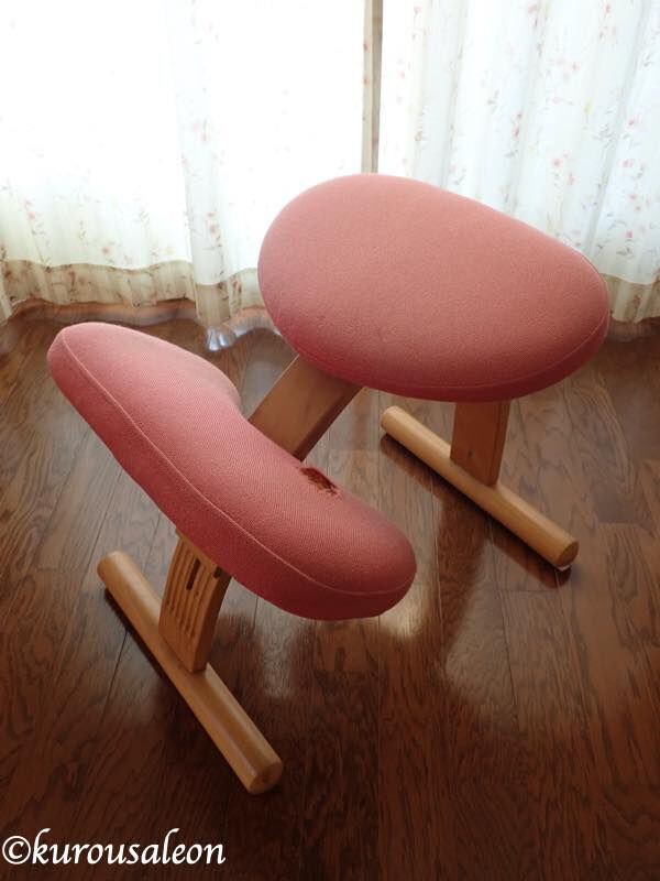 バランスチェア イージー（旧リボ社製 ）を修理してカバー作ってみた