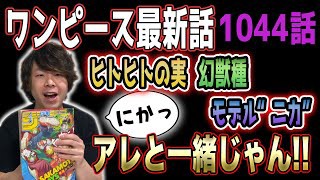 ヒトヒトの実 幻獣種 その名もニカ みずくるま君ニュース