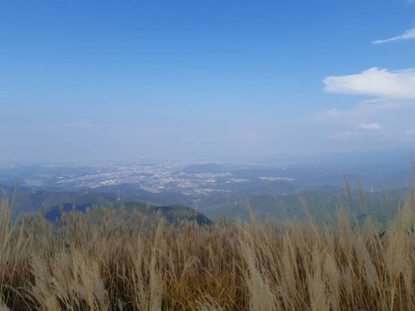 岩湧山の登山初心者おすすめルートを紹介します ススキの時期 下山後の観光も あいまいだいありー