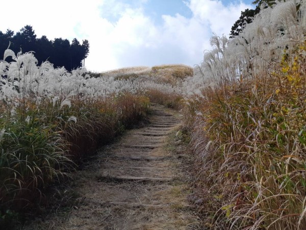 元河内長野市民が教える 岩湧山のおすすめルート アクセス 風呂入って地酒を買って帰ろう 天見駅から滝畑まで あいまいだいありー