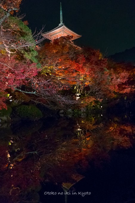 紅葉の京都へ ＜11/23-25＞ : 漢（オトコ）の粋