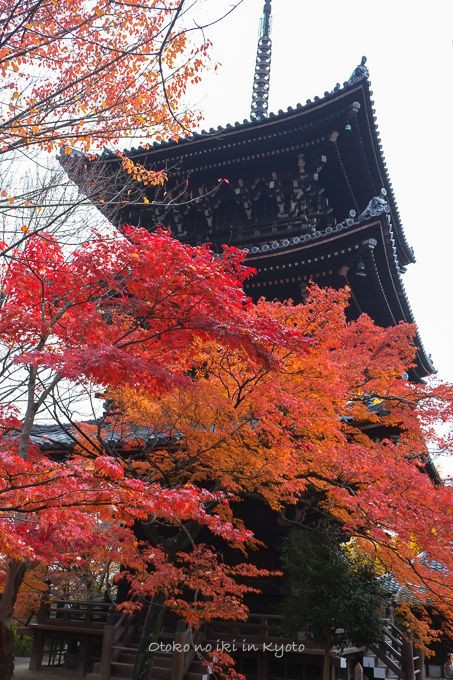 紅葉の京都へ ＜11/23-25＞ : 漢（オトコ）の粋