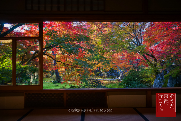 古の都で紅葉狩り : 漢（オトコ）の粋