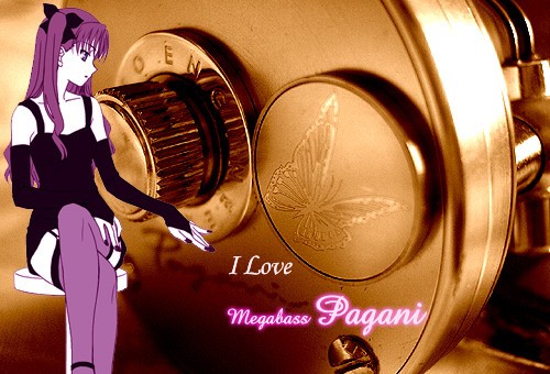 Megabass PAGANI P300 : ・・・ごみ竿ですが 何か？