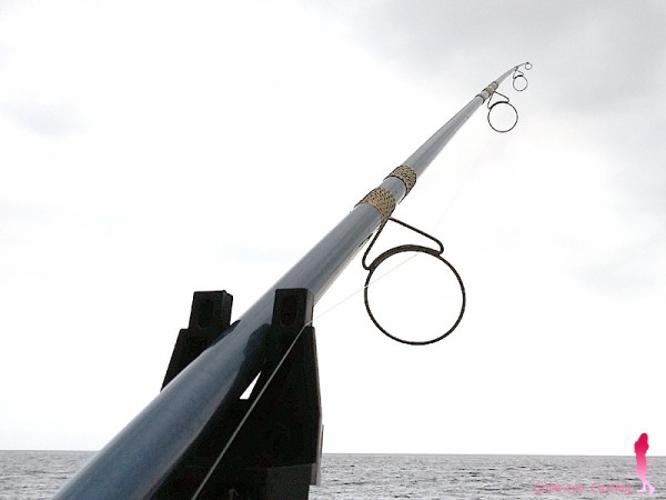 櫻井釣漁具（SAKURA）（さくら）（サクラ）世界ノ日本号　遠投の勝利　３．９M 即決