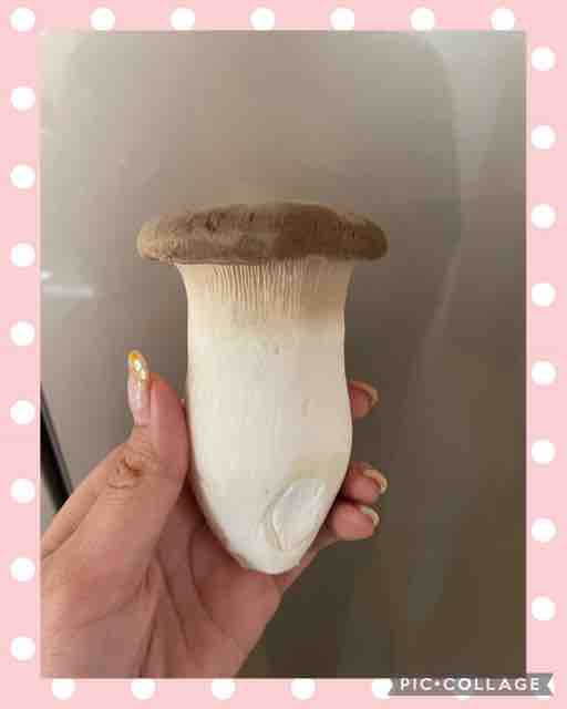 京都ラウンジMIDORI エリンギくん : 京都 ラウンジ MIDORI（ミドリ）の