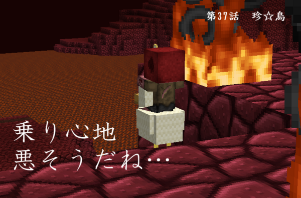 とりあえずマイクラ1 8をバニラでプレイ 第37話 珍 鳥 とりあえずマインクラフト