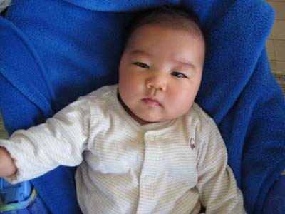 赤ちゃんの顔はすぐ変わる Life With Little Kids