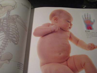 子どもの心と体の図鑑　赤ちゃんの心と体の図鑑