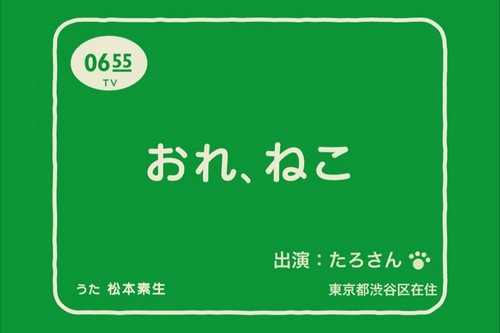 うわあぁあこれは激萌え 愛猫や愛犬の写真が歌とともに動画になるiphoneアプリ おれ ねこ で動画を作ってみると らばq