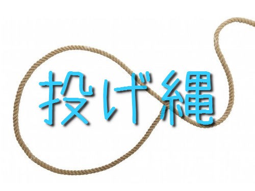 逃げる泥棒を通りすがりの馬乗りが 投げ縄 で捕まえる 拘束された直後の写真 らばq