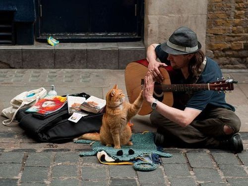 猫がいて幸せを感じるのは こんな時 と言い切れる写真21枚 らばq