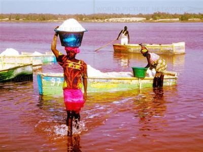 一面バラ色 ピンク色に染まるセネガルのレトバ湖は 死海を超える塩分濃度 らばq