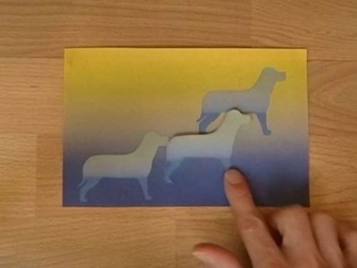 同じ色だって信じられる 3匹の犬の錯覚 動画 らばq