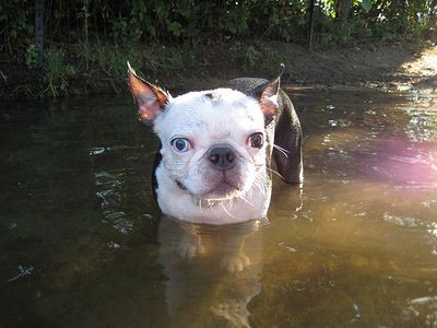 ゴミのポイ捨てはいけないと 心に刺さる写真 らばq