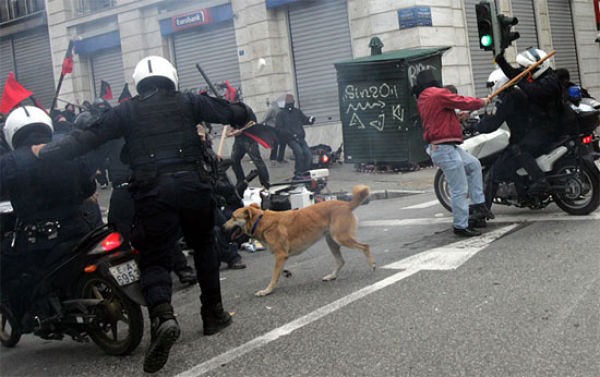 あの犬は何者 ギリシャで暴動が起こるたびに登場する 反逆の犬 が話題に らばq