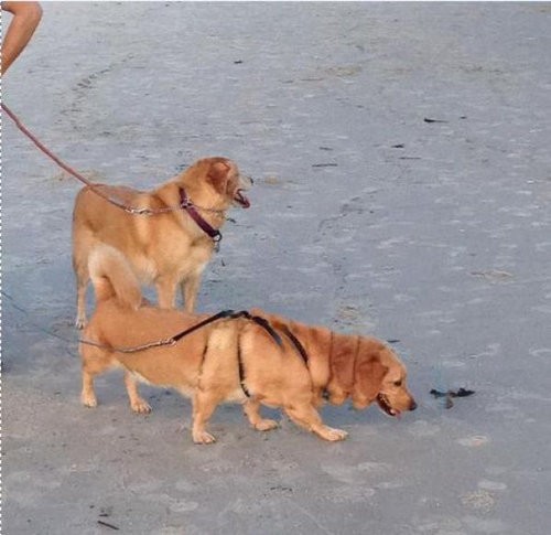 大変なものが撮れてしまった パノラマ撮影に失敗した写真 Part1 18枚 らばq