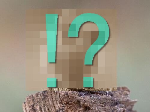 こんなかわいい鳥がこの世に存在するなんて マウンテン ブルーバード の写真にときめく人が続出 らばq こんなかわいい鳥がこの世に存在するなんて マウンテン ブルーバード の写真にときめく人が続出 らばq
