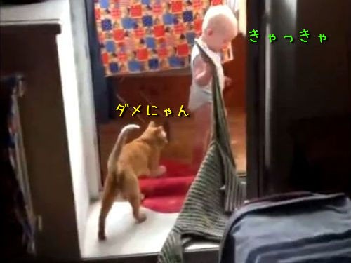 洋服で遊ぶ赤ちゃんに 猫 散らかしたら元に戻しさい 動画 らばq